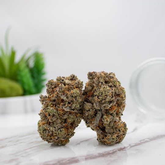 Nura - Blueberry Patch Cookie - 1
