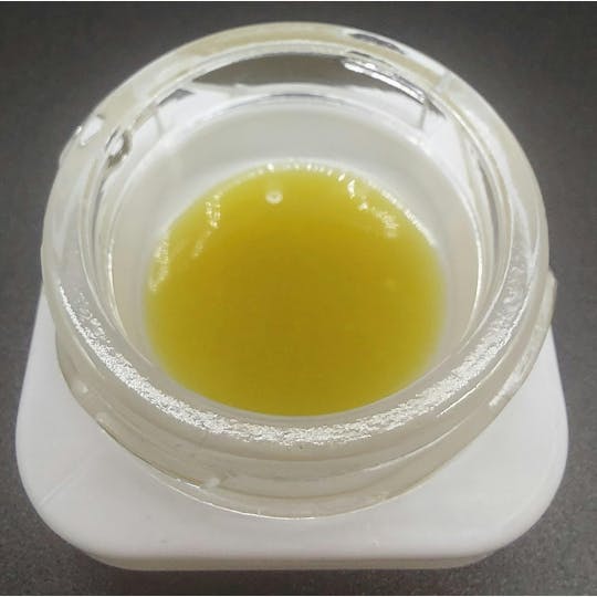 Ripple Wellness - Concentrate - Tier 1 - High Terpene Live Rosin - Original Glue #4 - 1