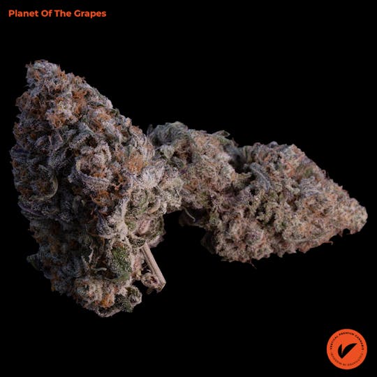 Vertical Cannabis - Planet Of The Grapes - 1
