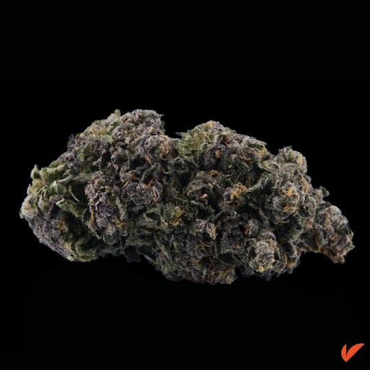 Vertical Cannabis - Gary Payton x Jealousy - 1