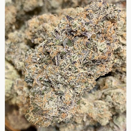 Herbal Remedies of Maine - Peanut Butter Sunshine by Bungludetch Farm - 1