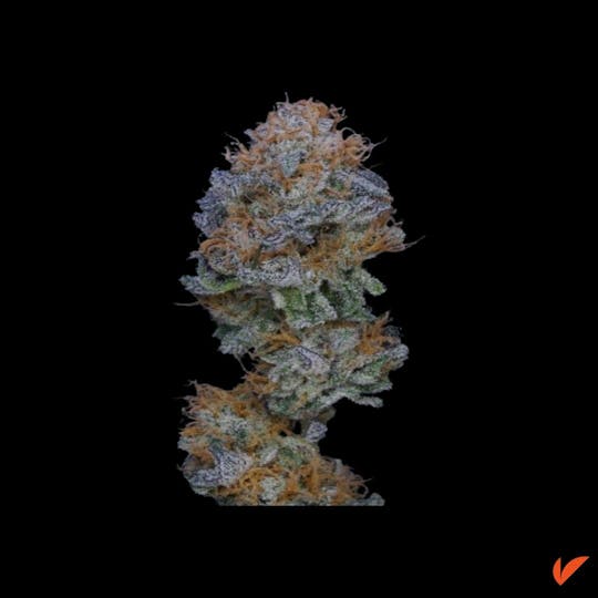 Vertical Cannabis - Scotti's Cake - 1