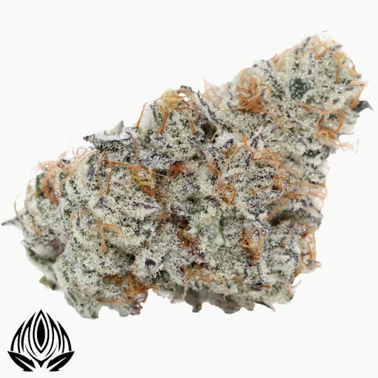 Peak Maine Cannabis - Mendo Mints #10 - Peak Maine - 1