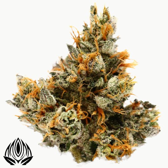 Peak Maine Cannabis - Gorilla Pops #5 - Peak Maine - 1
