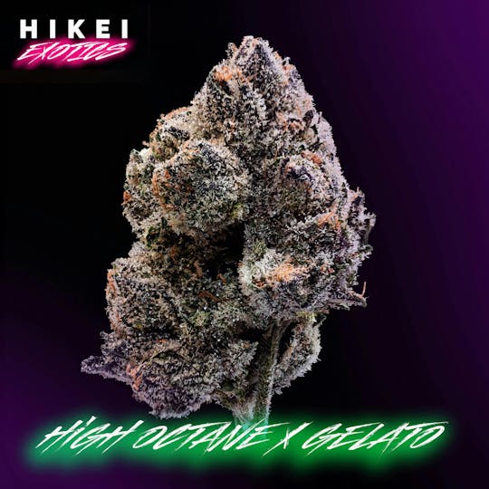 Hikei Exotics - High Octane X Gelato Eightr 3.5g - 1