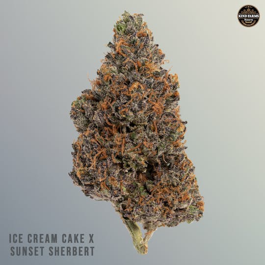 Kind Farms Reserve - Ice Cream Cake x Sunset Sherbet - Kind Farms Reserve - 1