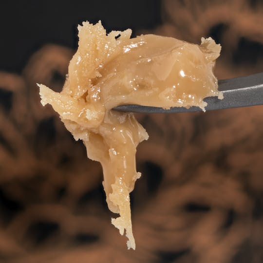 Kind Farms Reserve - Chocolate Dipped Bananas Live Hash Rosin - Kind Farms Reserve - 1