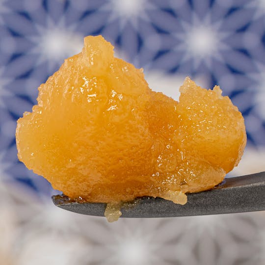 Kind Farms Reserve - Orange Cookies x Sherb Crasher Cured Badder - Kind Farms Reserve - 1