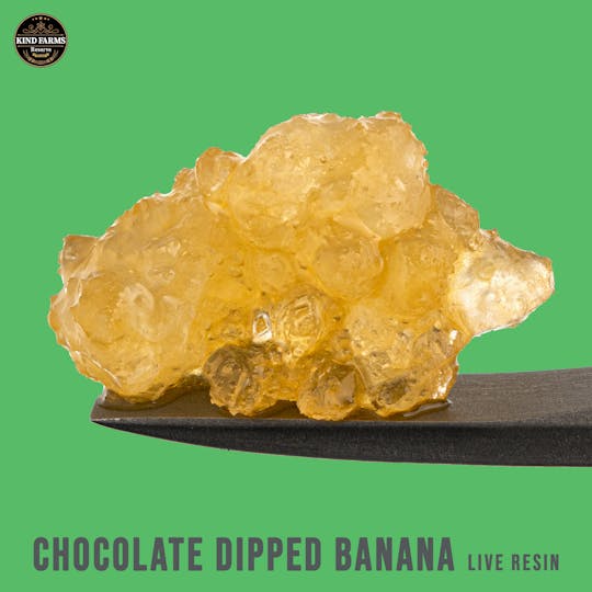 Kind Farms Reserve - Chocolate Dipped Bananas Live Resin - Kind Farms Reserve - 1