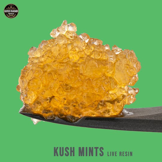 Kind Farms Reserve - Kush Mints Live Resin - Kind Farms Reserve - 1