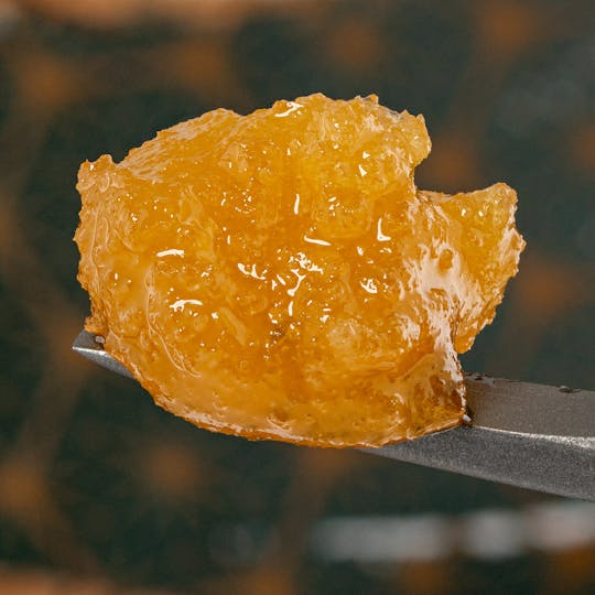 Kind Farms Reserve - Garlic Snake Breath Live Badder - Kind Farms Reserve - 1