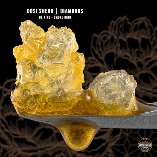 Kind Farms Reserve - Dosi Sherb Live Diamonds and Sauce - Kind Farms Reserve - 1