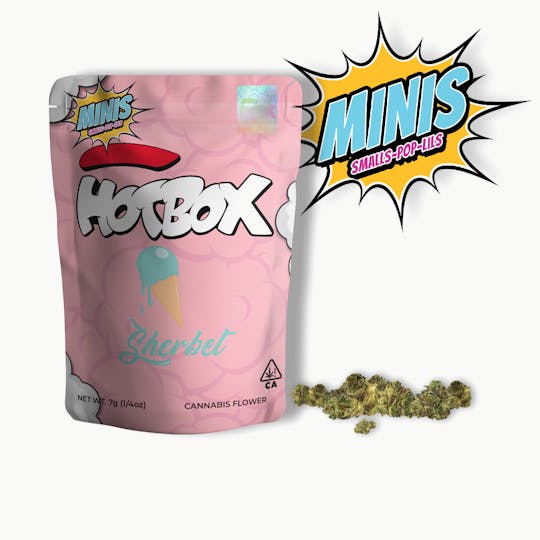 HOTBOX™ - HOTBOX | Ice Cream Sherbet Hybrid Minis (7g or 1/4 oz) Indoor Flower - 1