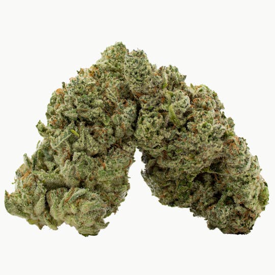 Nura - Krazy OG - 1