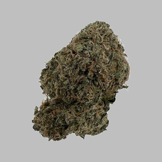 Indico - Cherry Chew - 1