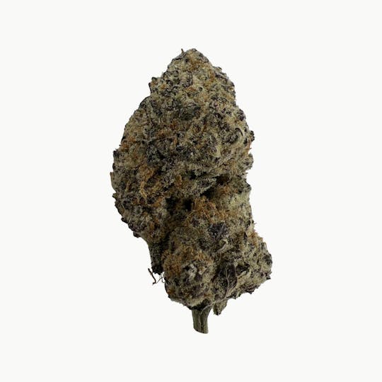 Indico - Koolaid - 1