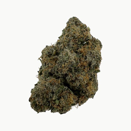 Indico - Blue Apricot Sherbert - 1