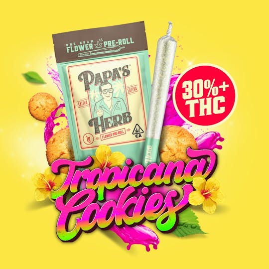 Papa's Herb - Tropicana Cookies (1g) Preroll - 1
