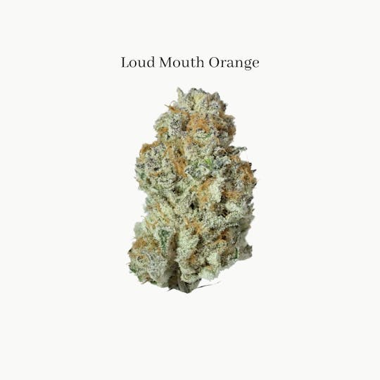Marks Organix - Loud Mouth Orange - 1