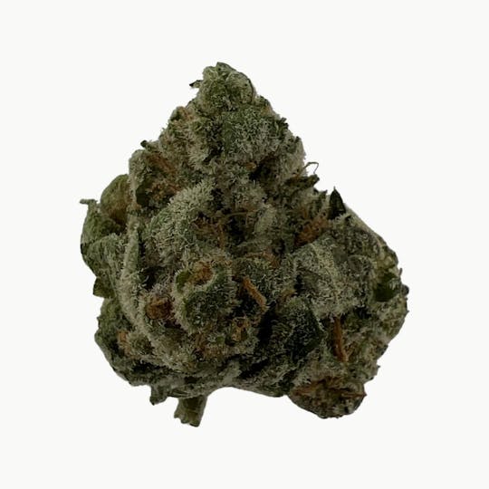 Indico - Candy Jam - 1