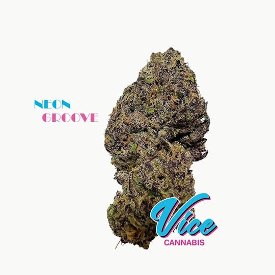 Vice Cannabis - Neon Groove: Flower *Top Shelf SMALL BUDS* - 1