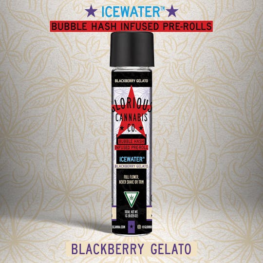 Glorious Cannabis Company - Blackberry Gelato 1G | ICEWATER Bubble Hash Infused | Glorious Cannabis Co. - 1