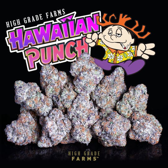 High Grade Farms - Hawaiian Punch 3.5G - 1