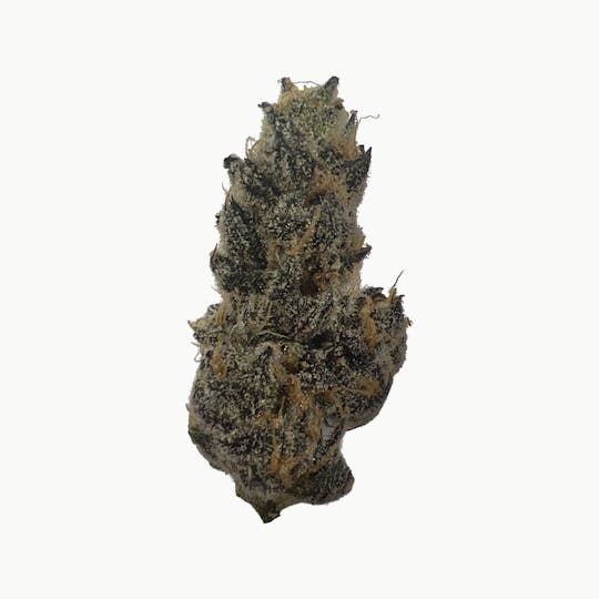 Lonely Bones - Strawpicana - 1