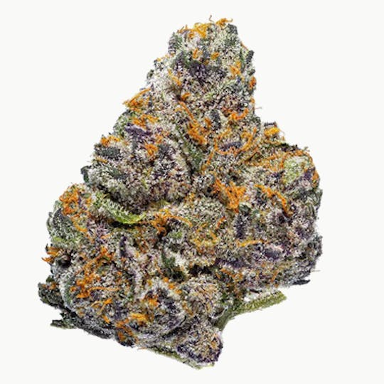 Bay Life - Lemon Cherry Gelato - 1