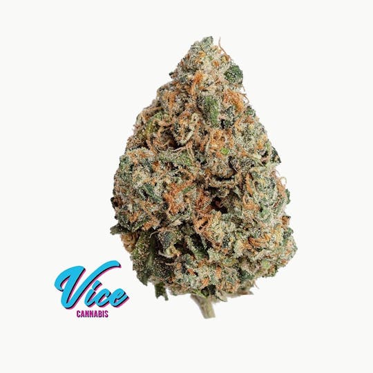 Vice Cannabis - Italian Soda (GMO x Rootbeer): Flower *Top Shelf SMALL BUDS* - 1