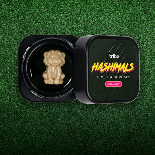Tribe - Hashimals - Lion - 1.5 Grams - 1