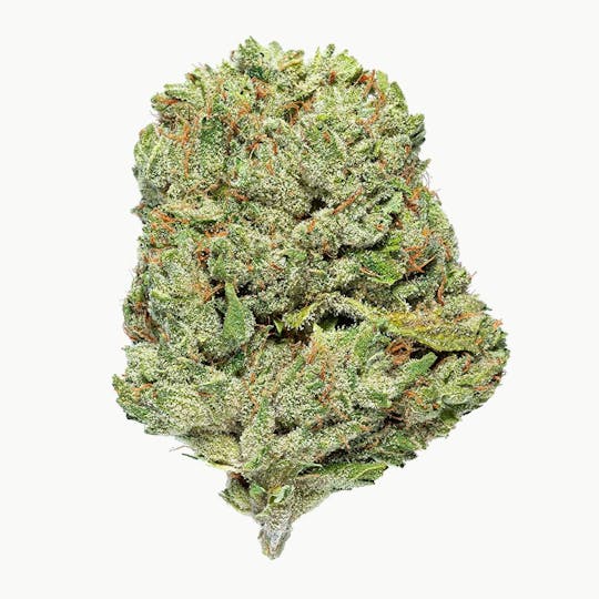 Bay Life - Mothers Milk - 1