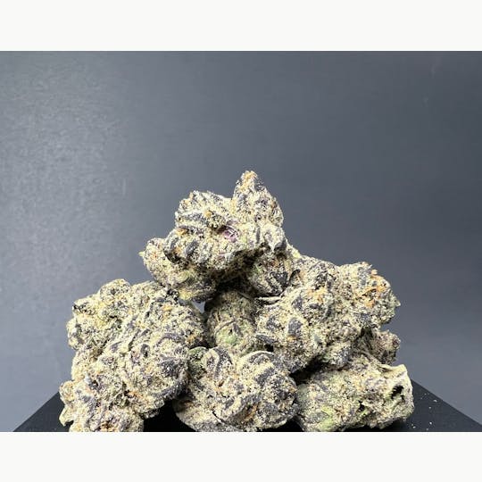 Snaxland - BLACK BERT - 1