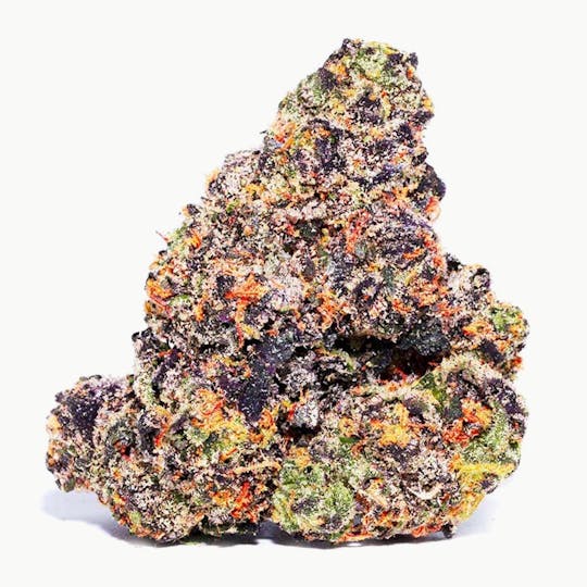 Blue Chip - Gelato X - 1