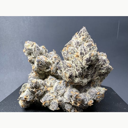 Snaxland - APPLE FRITTER - 1