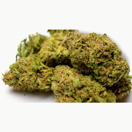 Trusty Transportations - Blueberry Muffin 1 Gram (23% THC, Indica) - 1