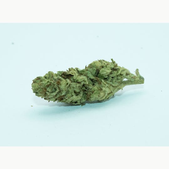 Trusty Transportations - Slurricane 1 Gram (28%THC, Indica) - 1