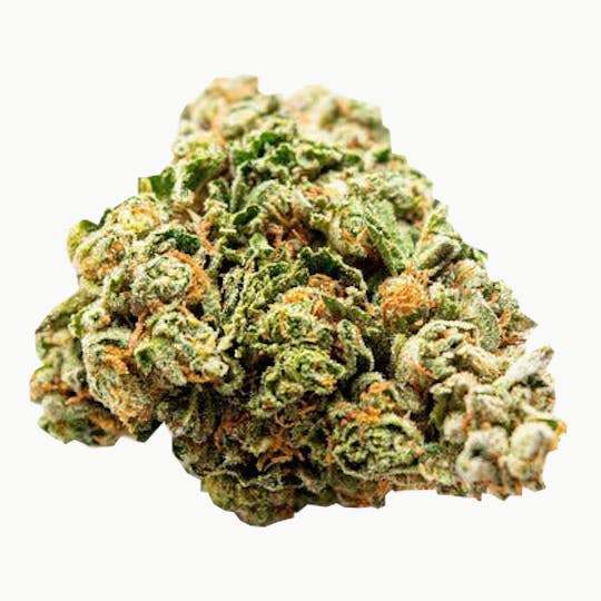 Trusty Transportations - Biscotti Ounce/28 Grams (34% THC, Indica) - 1