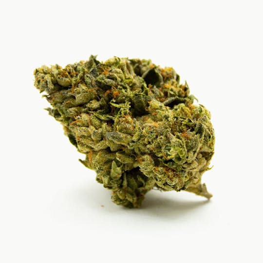 Trusty Transportations - Biscotti Smalls Ounce/28 Grams (20% THC, Indica) - 1