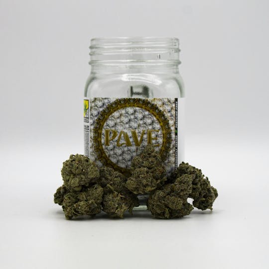 Phat Panda - Pave - WA - 1