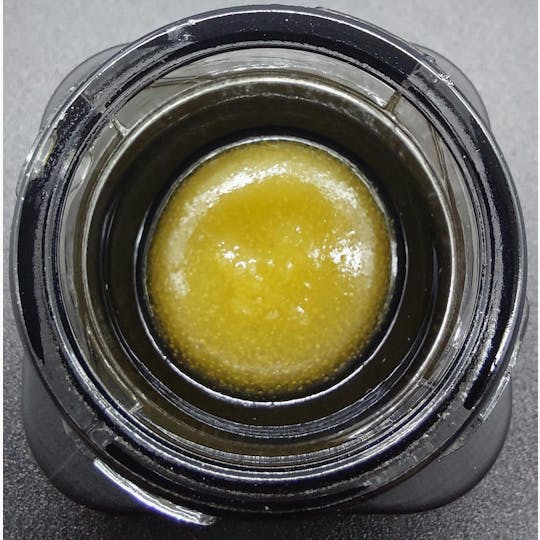 Ripple Wellness - Concentrate - Cured Badder - Peanut Butter Pie - 1
