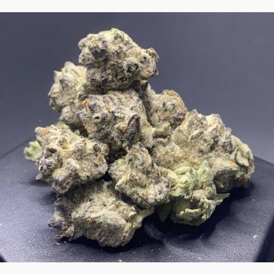 Snaxland - GELATO 25 - GEL ONE - 1