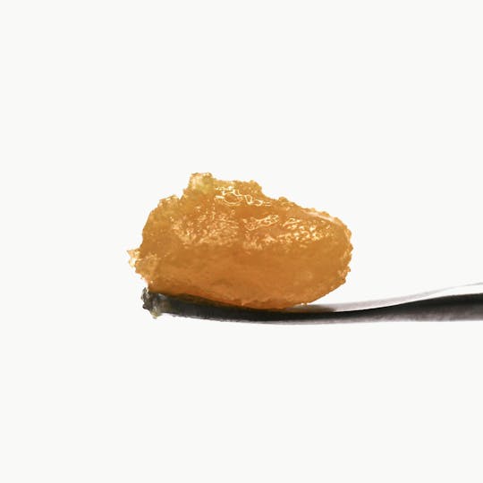 Rugged Roots - Rugged Roots - Badder Sugarcane 1g - 1