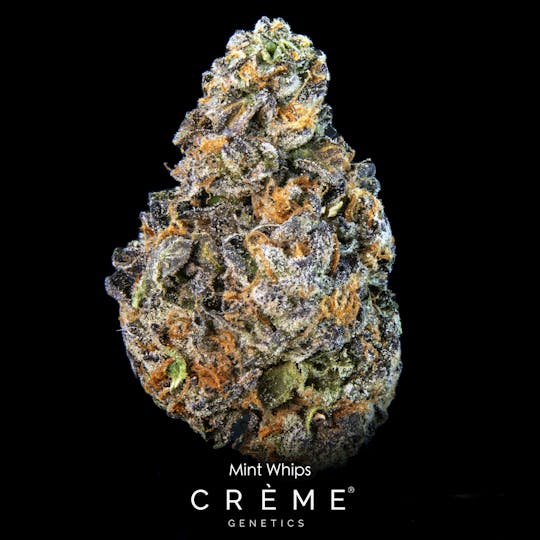 Crème Genetics - Mint Whips (Indica 32% THC) - 1