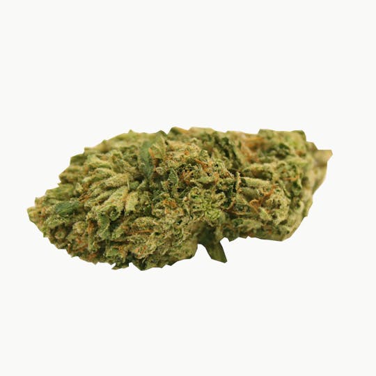 Trusty Transportations - Wakanda 1 Gram (26% THC, Sativa) - 1