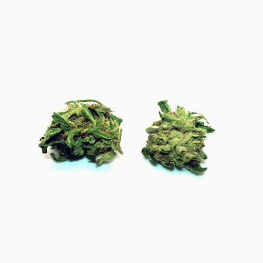 Trusty Transportations - Fatso Smalls Ounce/28 Grams (37% THC, Indica) - 1
