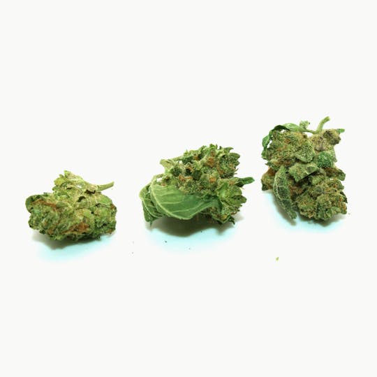 Trusty Transportations - Gelato Cake Smalls 1/2 Ounce/14 Grams (16% THC, Hybrid) - 1