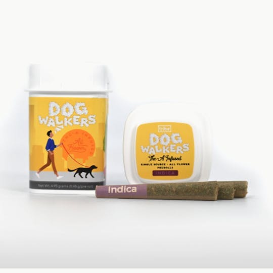 Tribe - Dogwalkers - THCA Infused - Indica - 11-Pack/4.95 grams total - 1