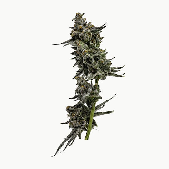 Heartland Farms - Peanut Butter Soufflé - 1