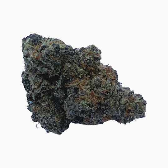 Indico - Garlic Z BY: Leb City Greeneries - 1